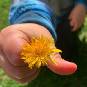 Heal Your Inner Child